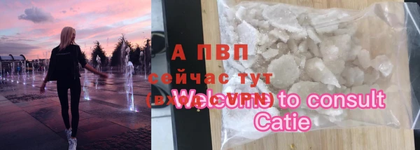 спиды Бородино