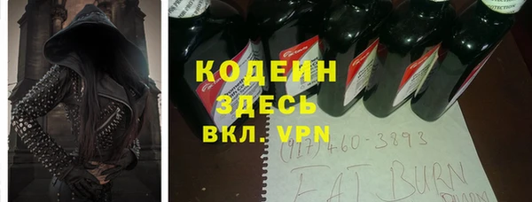 спиды Бородино