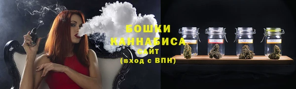 спиды Бородино