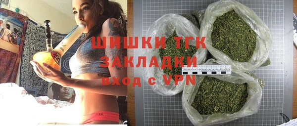 спиды Бородино
