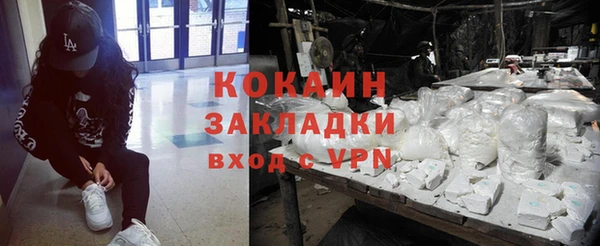 спиды Бородино